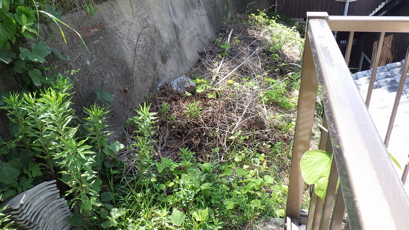 detached 大和町 (南部地区 日宇地域)