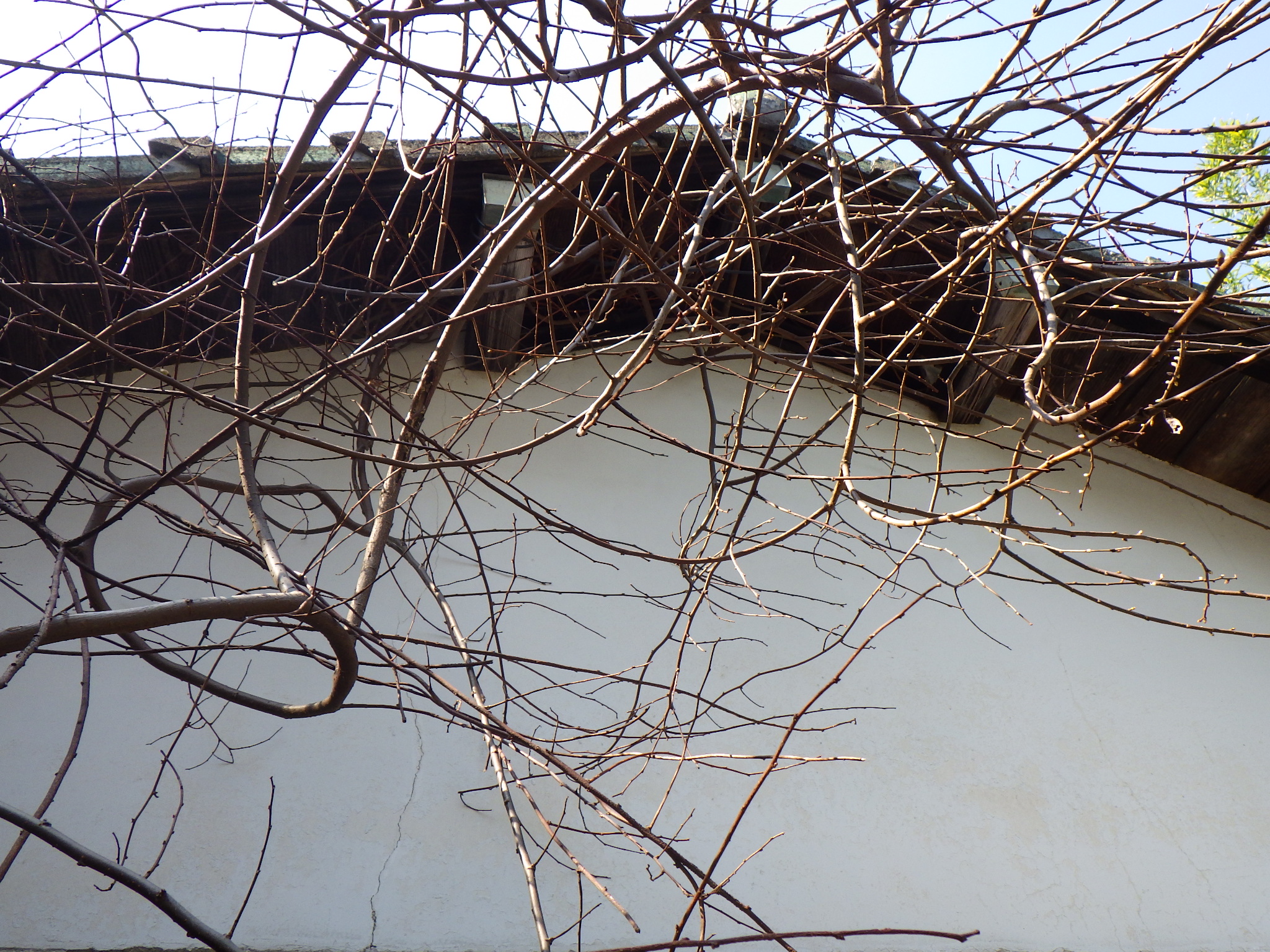 detached 八幡町 (中部地区 佐世保中央地域)