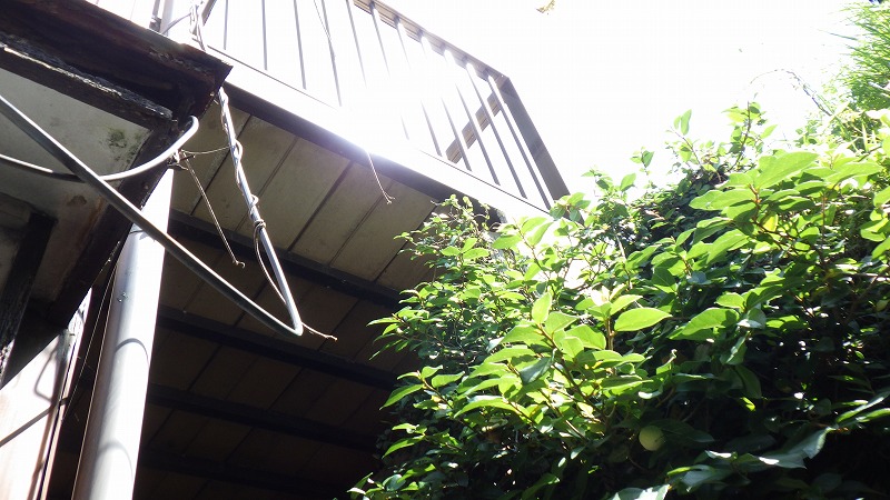 detached 大和町 (南部地区 日宇地域)