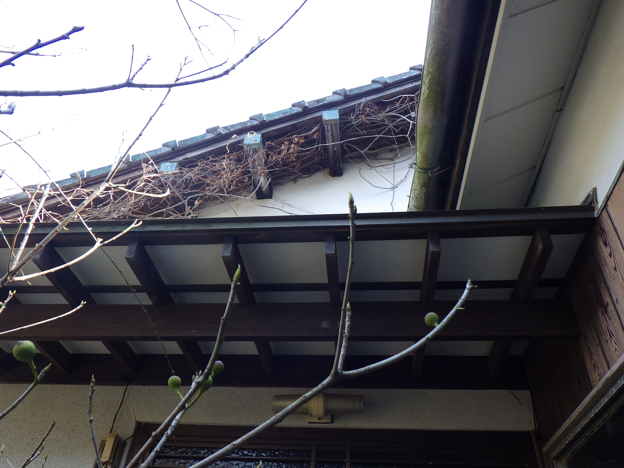 detached 八幡町 (中部地区 佐世保中央地域)