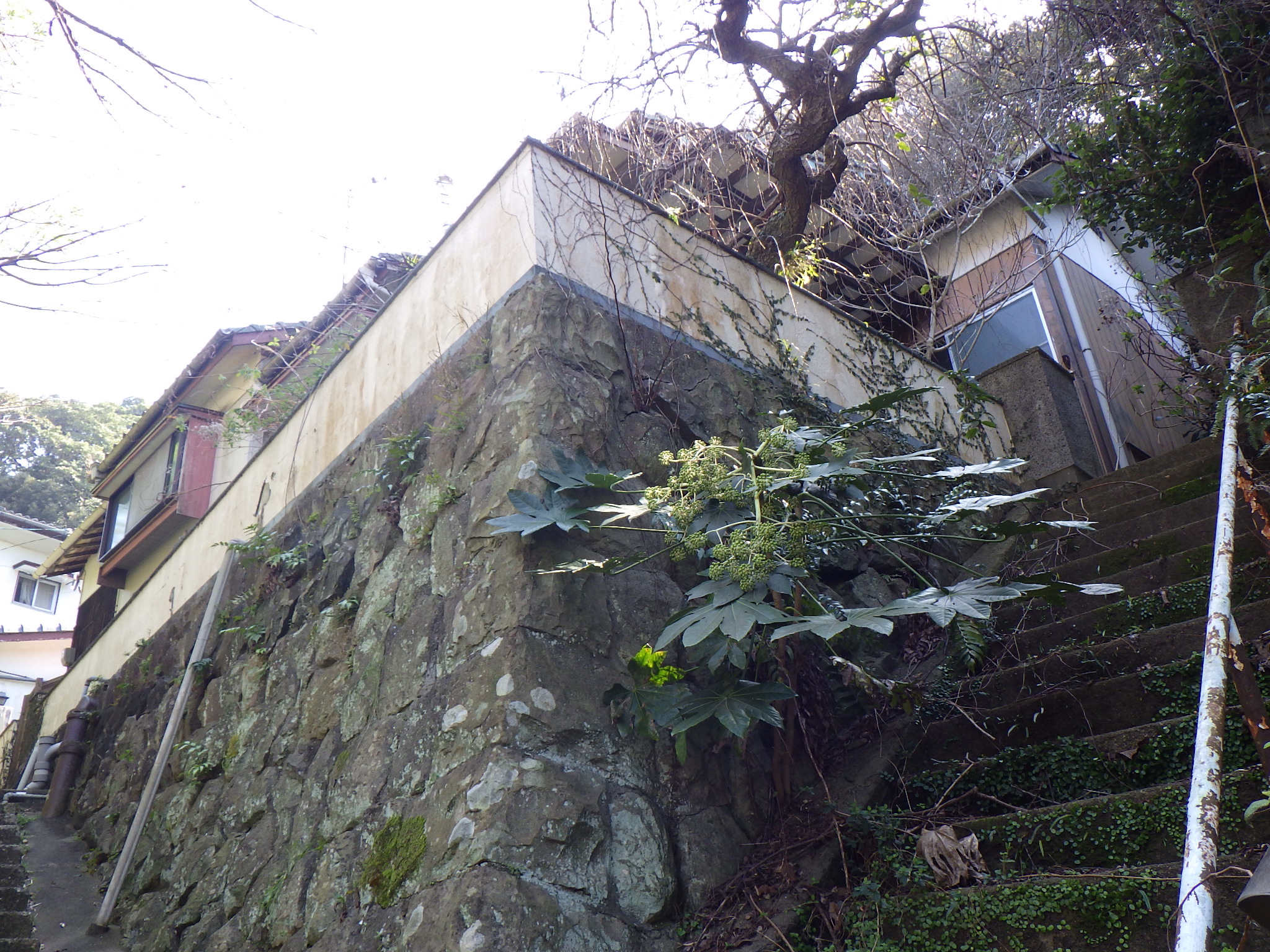 detached 八幡町 (中部地区 佐世保中央地域)